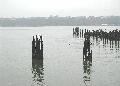 pilings1.jpg